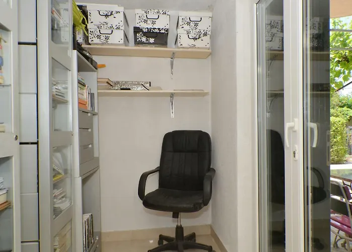 Wisteria * Rogoznica