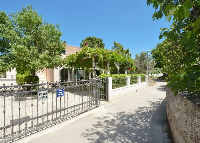 Wisteria * Rogoznica